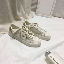 女鞋新款小白鞋2023韩版春季贝壳休闲ins板鞋学生鞋子米金色