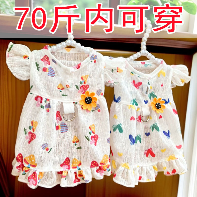 Los gatos domésticos pueden salir con amor, vestidos de verano, suministros para perros, ropa para perros Corgi, ropa para perros