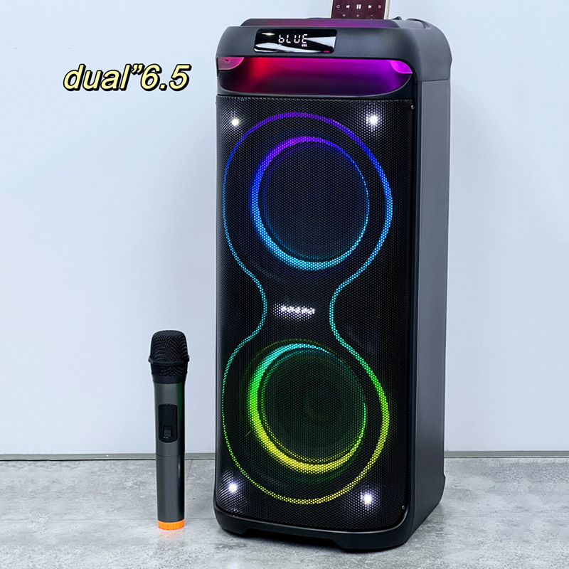 Cross-border dual 12-inch home speaker karaoke singing outdoor subwoofer high-power RGB lights Bluetooth audio wholesale