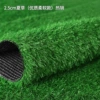 [2.5cm夏草【出口品质】10500簇50平米]