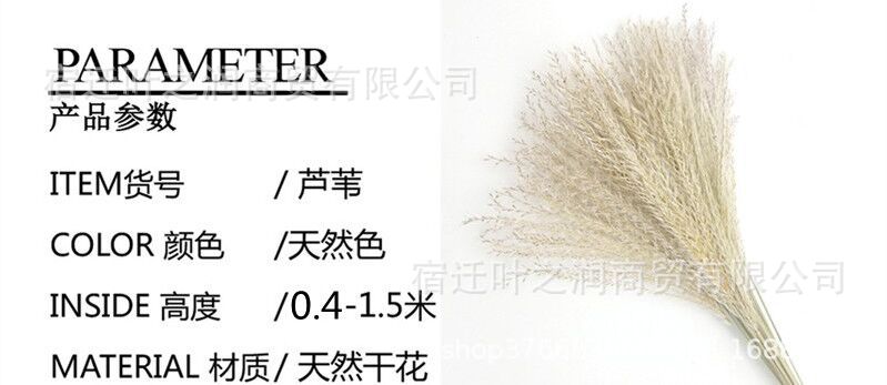 IPV454STCFB_B@Y(~()GDPJ