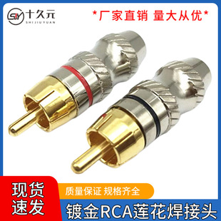 �⺸僽�RCAɏ���^���^��푽��^���l�����^av�����I�����������