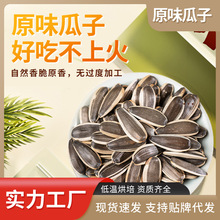 ԭζӃɹѴwʳԹʴbɢbl