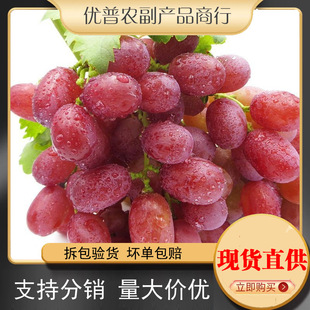 �˂����o���������r�Fժ����o�Ѽt�Უ�������Ӯ���ˮ���ЋD����