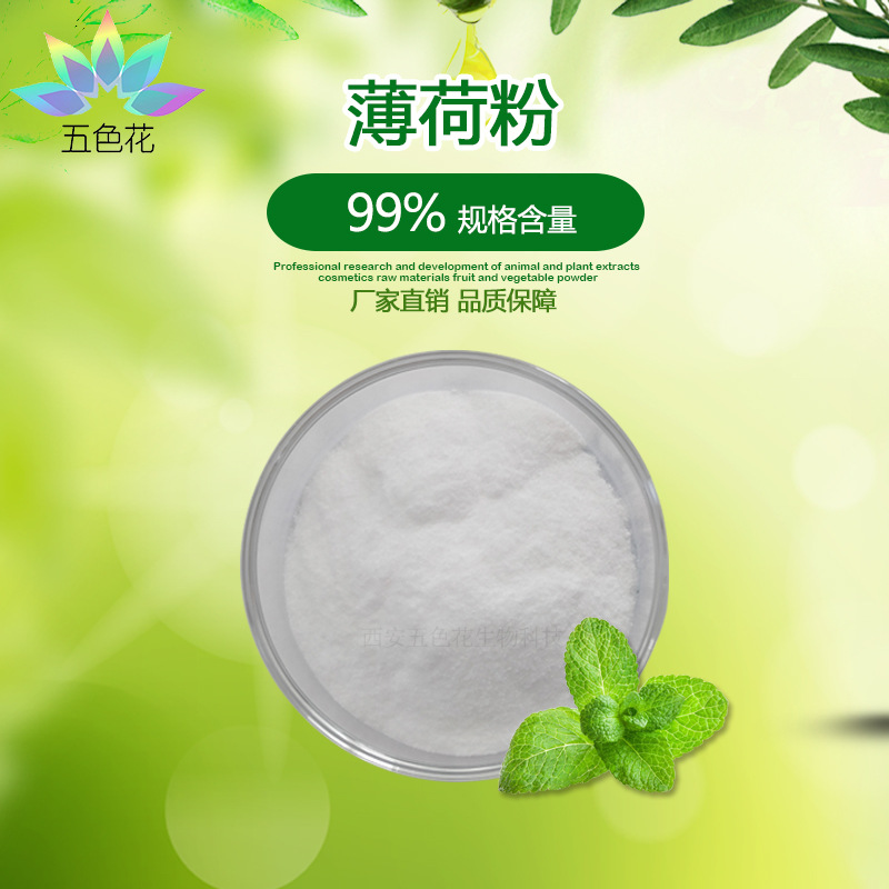 薄荷粉99% 水溶 薄荷叶提取物 清凉增味 食品级薄荷粉 厂家直供