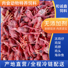 狐狸饲料宠物主食冷冻小鸡仔加工鳄鱼蛇饲料肉食动物特养饲料