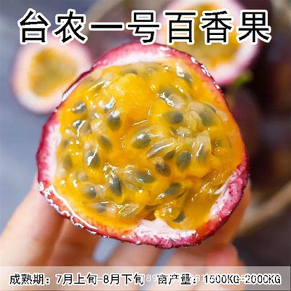 四季新品种香蕉百香果苗甜蜜蜜百香果树苗紫香黄金百香果树苗带土