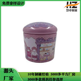 蛋糕形小铁盒零食收纳金属盒卡通创意糖果盒食品包装圣诞铁盒批发