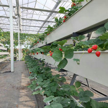 ���ˮ��ֲ�ﻨ�� ���pvc��ˮ��u�ͼ���ˮ�� ��ɫ������ˮ��E18