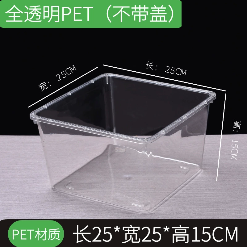 Хранительный ящик, прозрачная упаковочная тара из PET для продуктов с/без крышки, размеры 20×20×15–40×30×15 см