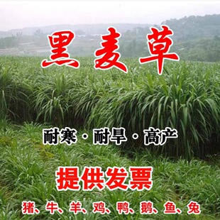 �����ݷN���ӷN�ļ��������ͺ����ݷN�������Bֳ�ݷN�u��ţ���~��