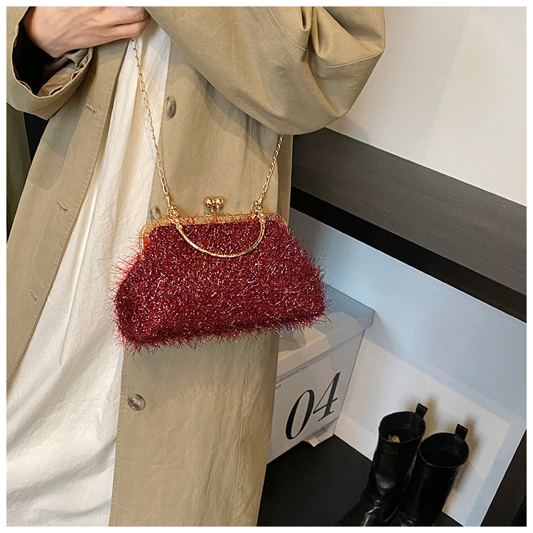 A trendy and fashionable women's 2024 autumn new chain crossbody bag, a Korean-style hand-held shell bag undefined