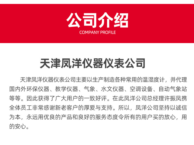 天津凤洋仪器仪表公司爆款详情页_11