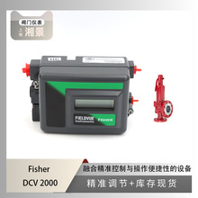 全新 fisher费希尔 DVC2000 阀门定位器 搭配 S&R系列LESER安全阀
