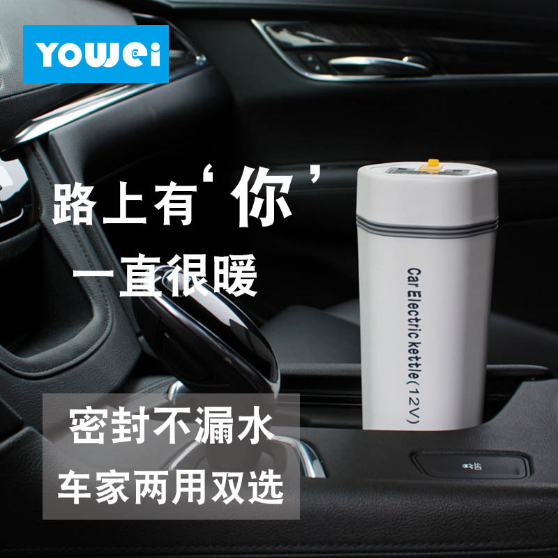 Car kettle water Cup 12v24V car portable electric Cup mini household universal car truck