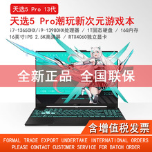 天选5Pro FX607游戏本酷睿i9-13980独显4060 2.5K笔记本电脑
