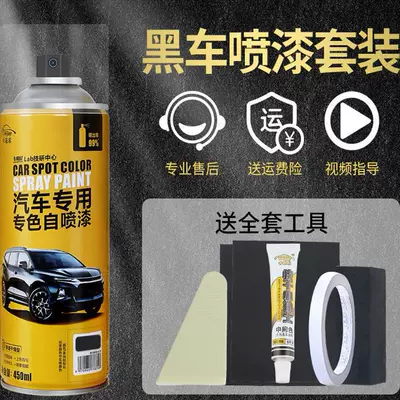Black Car Spray Paint Touch-Up — Avtomobil boya qələmləri - volkswagen-series-black-custom-fit-guaranteed-repair-or-your-money-back