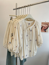 ʽỨ̽AIϵrŮıС