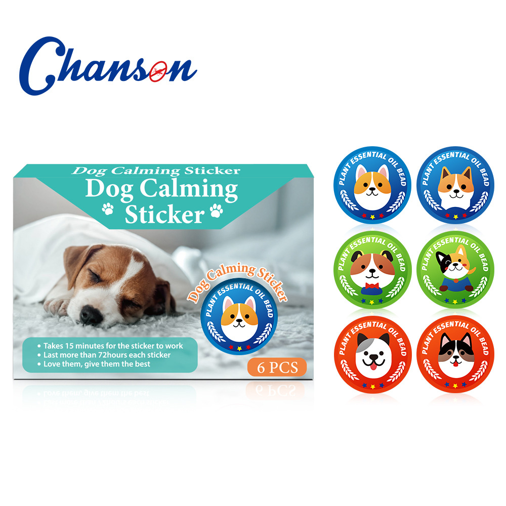 애견 친화적인 스티커 6개가 포함된 컬러 박스