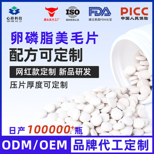 Pet Lecithin Hair Beauty Tablets 200 Tablets/Bottle Oem Cat and Dog General Hair Beauty Tablets Nutritional Supplement Customization