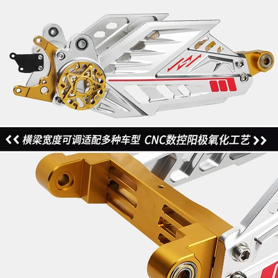 Fork Modified Mavericks N1S No. 9 | Motorcycle frame
