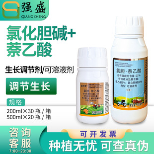 ���K21%�Ȼ�đ���|�����������R������¸��o��������L�{����
