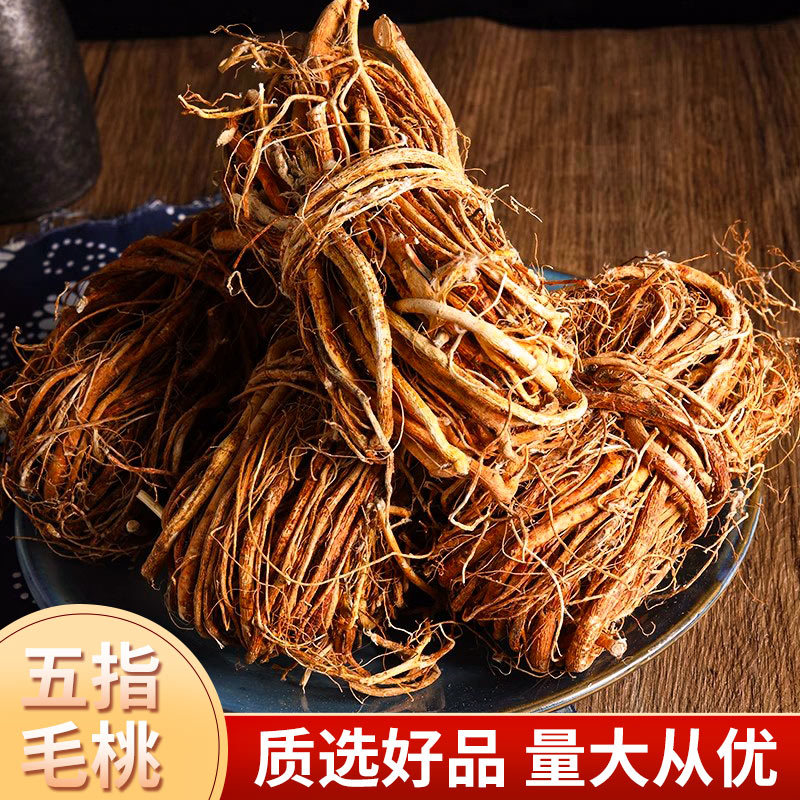 2025年新鲜五指毛桃根小捆搭扎把野生养生中葯材煲汤材料包批发
