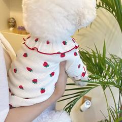 ペットのイチゴの底のシャツのテディは熊の貴賓の小型の犬の服より小さいです。