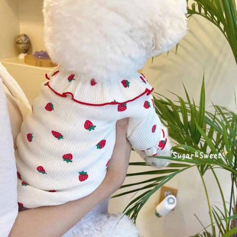 Pet Strawberry Base Shirt Teddy Bixiong VIP Small Dog Dog Clothes Kitten Kitten Spring and Autumn New Clothing Pet Strawberry Base Shirt Teddy Bixiong VIP Small Dog Dog Clothes Kitten Kitten Spring and Autumn New Clothing