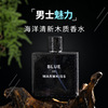 Fresh men's eau de cologne with a light fragrance, perfume, long-term effect, 100 ml