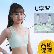 ���z�\��ȫ͸��W��С���İl����С�W�����ر�����С�W��С����