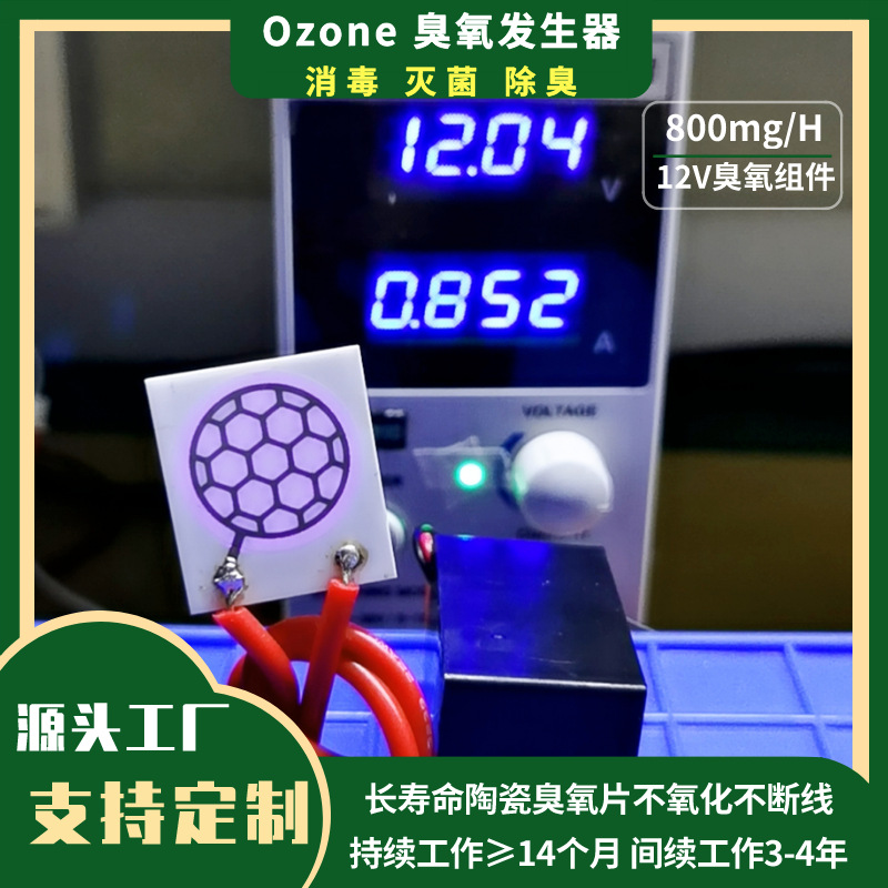 臭氧片12V-800mg臭氧发生器空气净化臭氧机套件组件配件杀菌