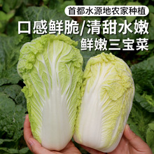 ���r������ �����޲˿ڸд������������峴�~���߲˰ײ�500g