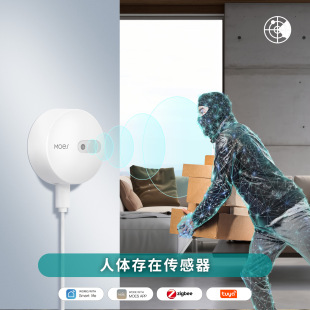 Zigbee graffiti smart home human presence sensor app timing 24GHz motion intelligent sensing detection