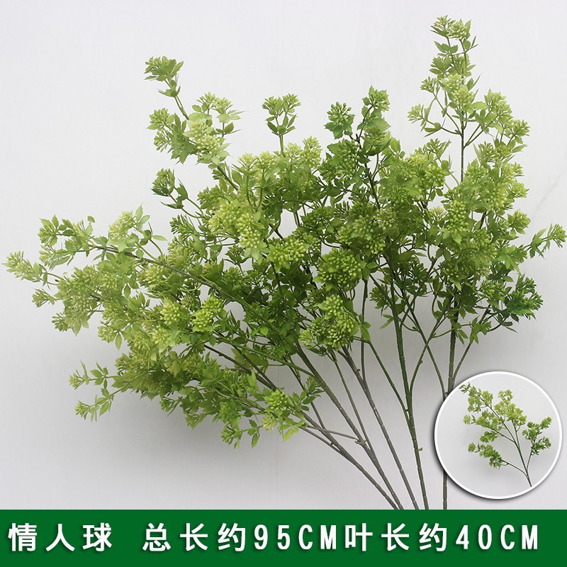 녹색 연인 공/1 지점