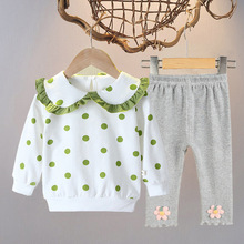 女童网红套装春秋2026新款儿童卫衣洋气女宝宝春装娃娃领休闲春季