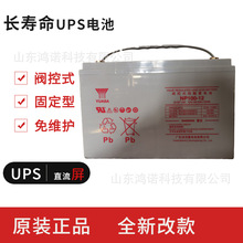 YUASA汤浅蓄电池12V100AH NP100-12 直流屏UPS EPS铅酸电池