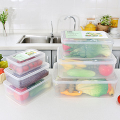 振興蔬菜冰箱保鮮盒廚房五穀雜糧密封盒零食收納盒塑料飯盒BX181