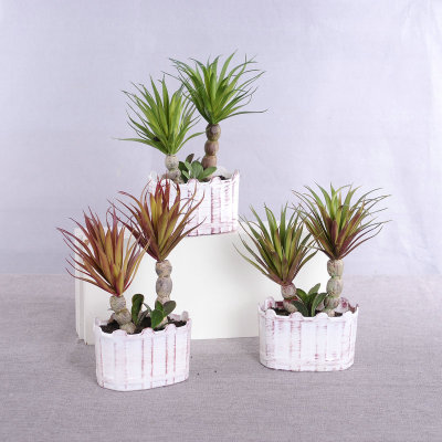 新款仿真多肉擺件 橢園盆寶石蓮多肉組合小水壺蝴蝶結橢圓盆小樹