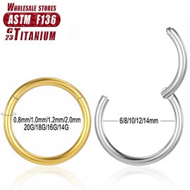 鼻饰;其他穿刺饰品;唇饰