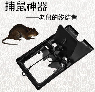 �F�|����A����������\�ӏ������A�ӼӺ��l�O�y��A