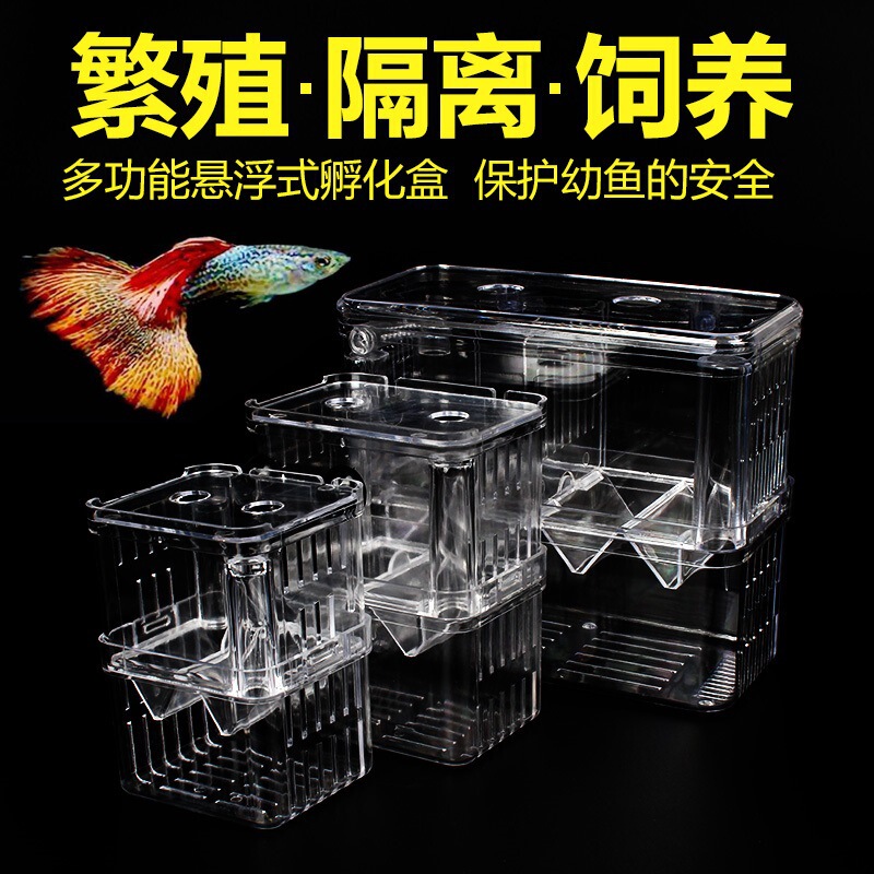 Guppy Breeding Box Fish Tank Acrylic Isolation Box Extra Large Spawning Hatching Delivery Room Small Fry Young Size Fish