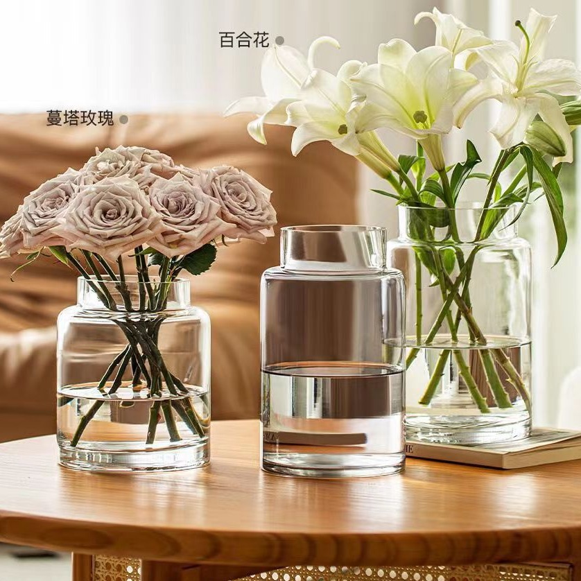 透明大口徑水培玻璃插花瓶高級感水養氛圍網紅客廳擺件玫瑰矮款
