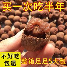 ��֦��������ѡ�»�15A������Ŵ��������Ц�����ز��ɻ���ʳ