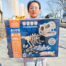 ��ſ��������ھ���߹Ǽ�ģ�Ͷ�ͯDIY�ֹ�ä�н���������Ʒ ����