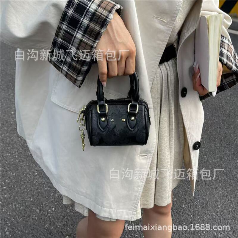 跨境经典印花bags欧美洋气小方包2025新款C家通勤个性时尚手提包|undefined