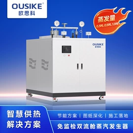 燃气锅炉;电热锅炉;燃气热水器