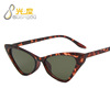 Fashionable sunglasses, trend glasses, city style, cat's eye, 2022 collection, European style