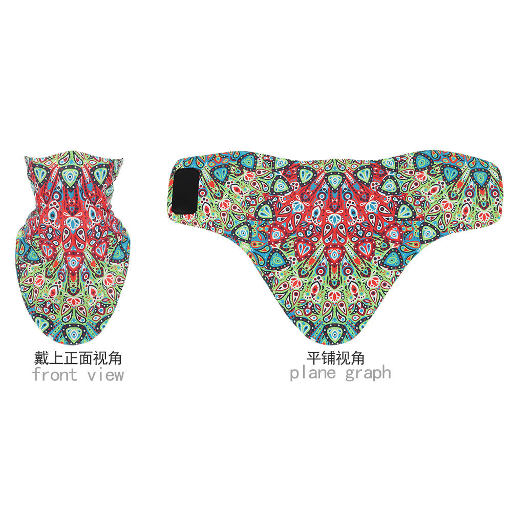 Colorido cola de Fénix