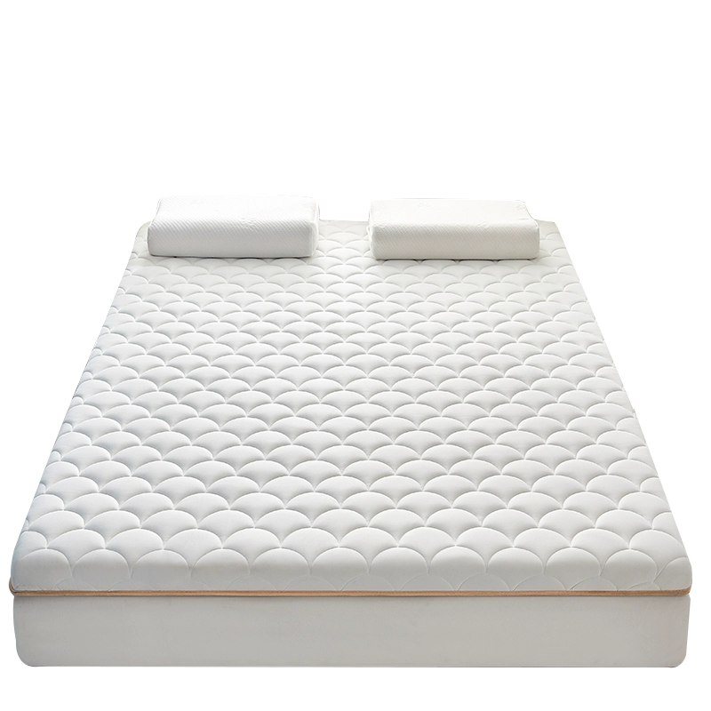 Organic sponge mattress for students, increased thickness